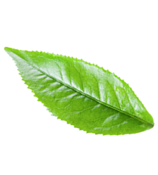 bio-balanced-organics-Lea-8