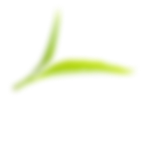 Bio-Balanced-Organics-Leaf1