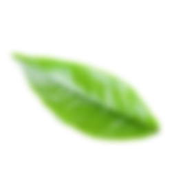 bio-balanced-organics Slider leaf Slider 3