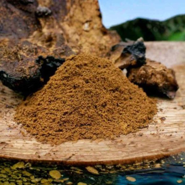 Organic Mushroom Blend