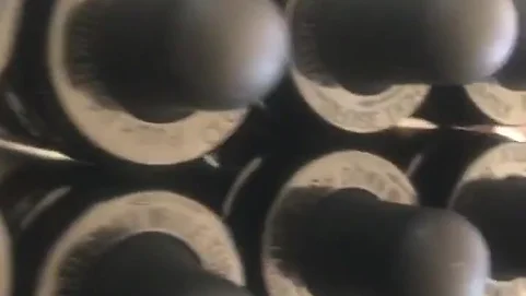 Bio-Balanced-Organics-product